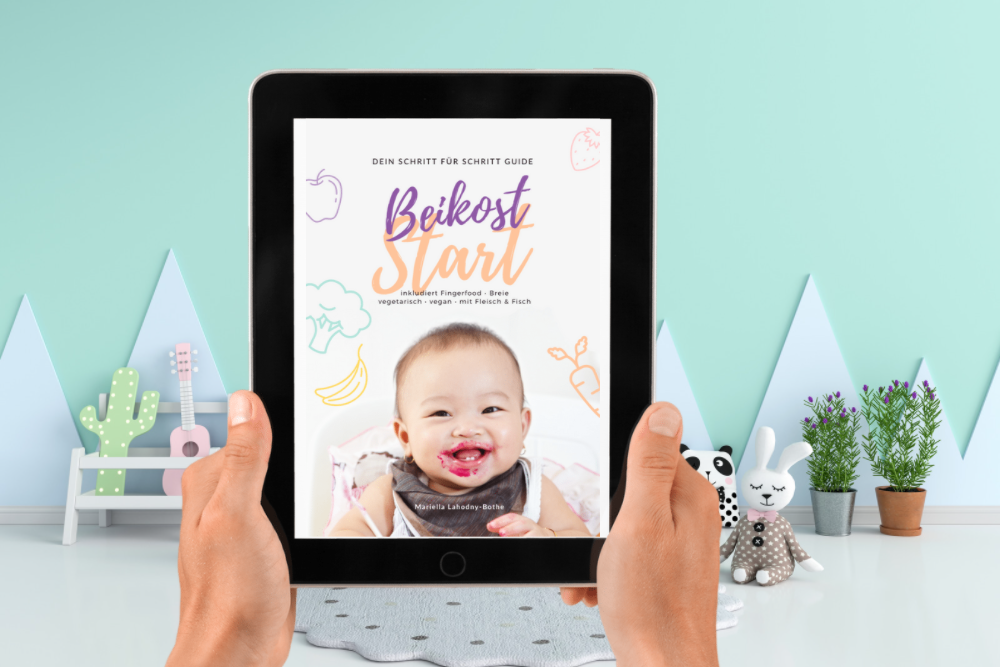 eBook Beikost-Start