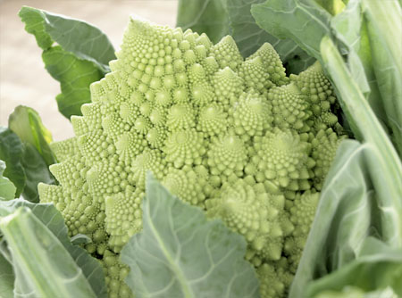 Romanesco