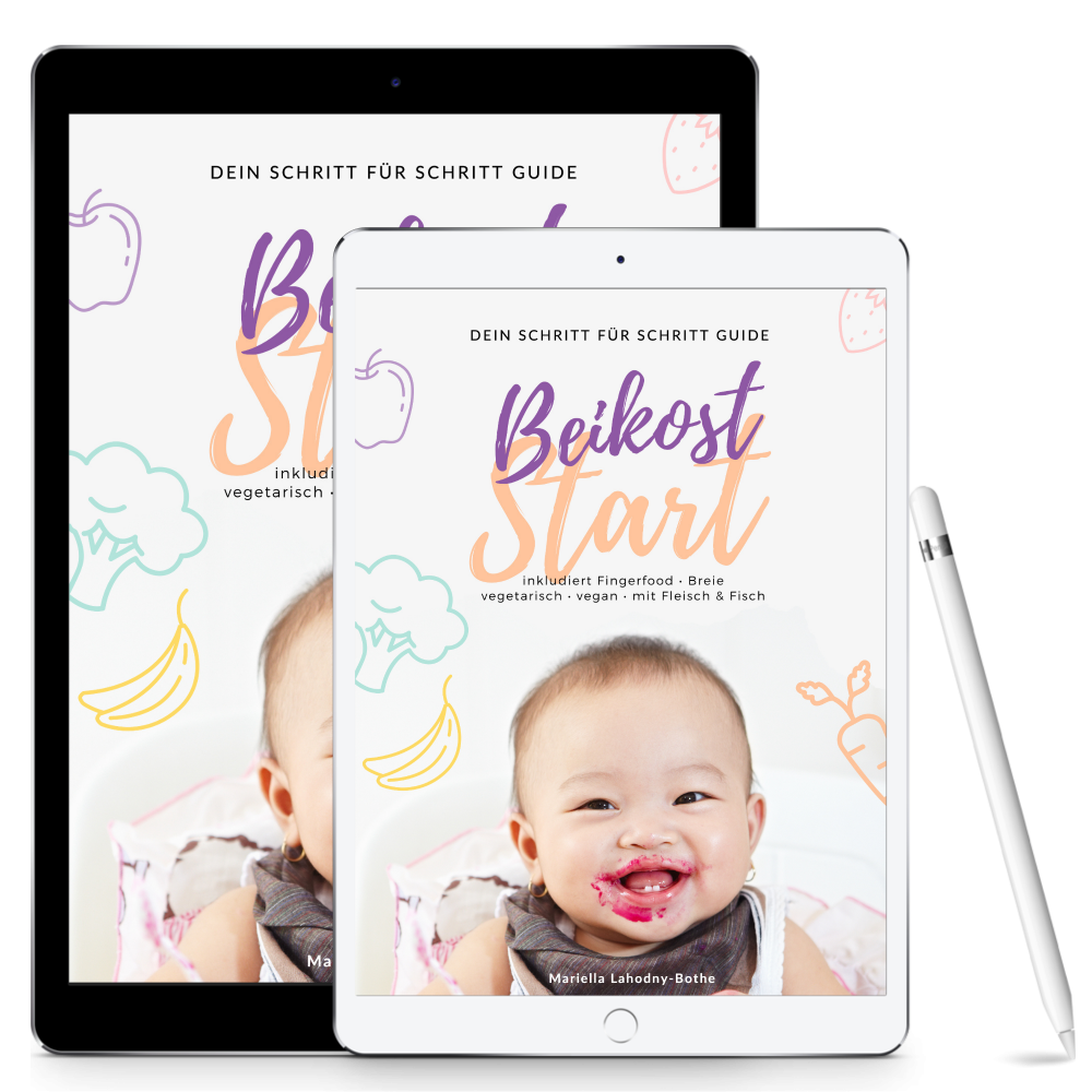 eBook Beikost-Start