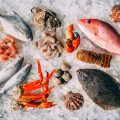 Fisch und Meeresfrüchte